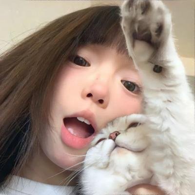 老鼠爱上猫